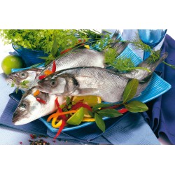 Bar sauvage 1.5KG - Poissons entiers - MonBeauPoisson.fr